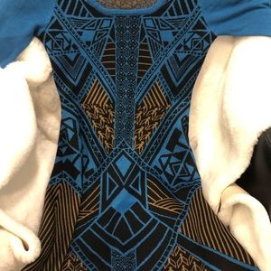 Form fitting shirt dress